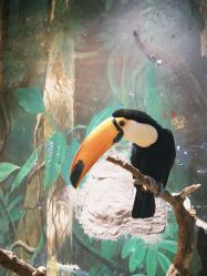 点击看大图 -Zoolung Zoolung动物主题公园(海信广场店)