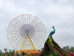 -七彩云南欢乐世界