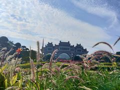 -顺峰山公园