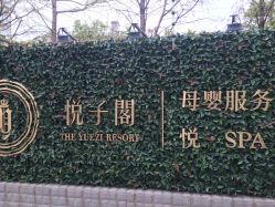 -悦子阁月子会所