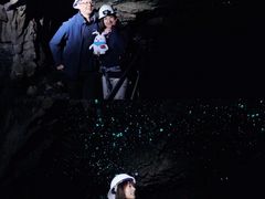 -怀托摩萤火虫洞