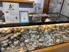 -HAVE A ROOM·有间质果(总店)