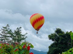 -中国科学院西双版纳热带植物园