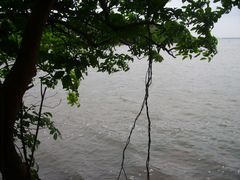 -东寨港红树林旅游区