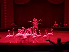 -珠海横琴长隆《卡卡虎奇遇记》