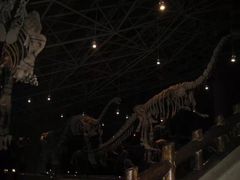 -世界恐龙谷景区