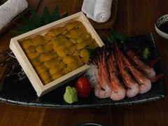 活海胆-串鑫