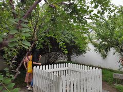 -北京鲁迅博物馆(北京新文化运动纪念馆鲁博馆区)