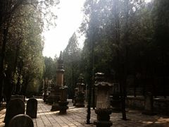 -四门塔风景区