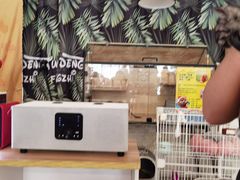 -平行世界·猫咖(首经贸店)