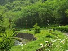 -神龙峡风景区