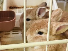 -懒鱼时光馆(沙坪坝店)