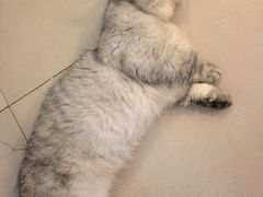 -平行世界·猫咖(首经贸店)