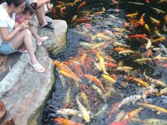 -龙达温泉生态城