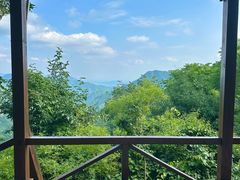 -大岭沟猕猴桃谷风景区