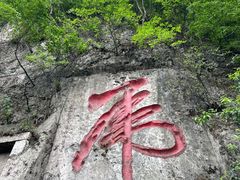 -黔灵山公园