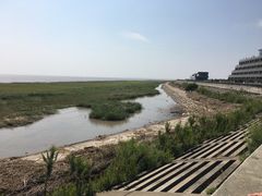 -南汇嘴观海公园