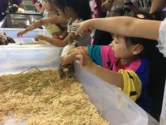 -东浩兰生上海世博展览馆