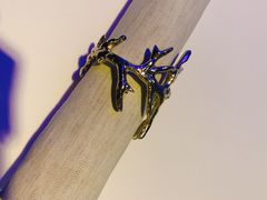 -迪拜帆船酒店海底餐厅