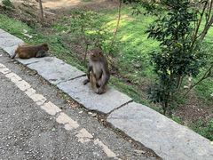 -黔灵山公园
