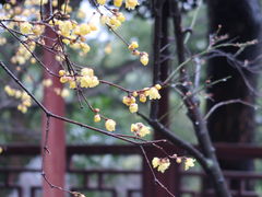 -虎丘山风景名胜区