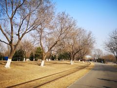 -永定河休闲森林公园