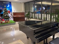 -刘健艺术钢琴学校·专注钢琴教育25周年(徐家汇校区)