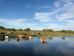 -塞罕坝国家级自然保护区