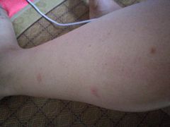 -成都凯宾斯基饭店