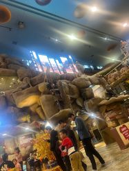 -卡通尼·Safari非洲探索乐园·生日会(金桥国际商业广场店)