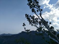 -少华山国家森林公园