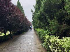 -秦始皇帝陵博物院-丽山园