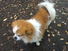 -辽宁大学(崇山校区)