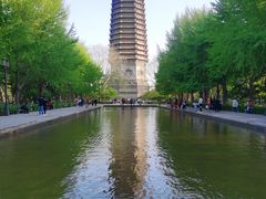 -玲珑塔公园