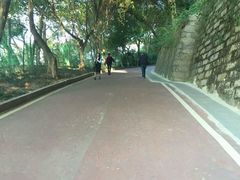 -金鸡山公园