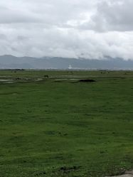 -纳帕海依拉草原