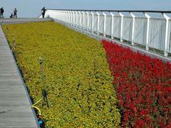 -北京园博大酒店