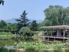 -北京植物园南门售票处