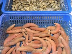 -必点海鲜·海肠捞饭·鲅鱼水饺(滨江道店)