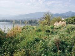 -西昌邛海湿地