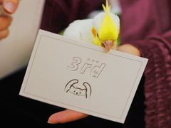 -Onirii Coffee(长乐路店)