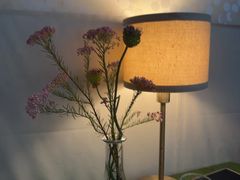 -SONGUOLIFE松果咖啡(七莘路店)