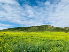 -扁都口生态休闲旅游区