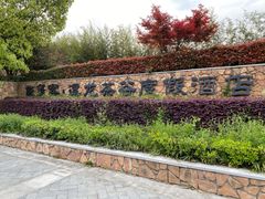 -帐篷客·溪龙茶谷度假酒店