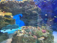 -海合安成都极地海洋公园