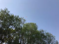 -东方绿舟景区