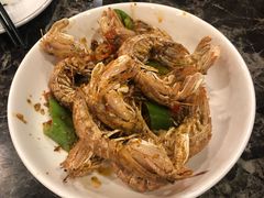 皮皮虾-冯姐生蚝(长隆横琴店)