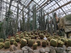 -南山植物园