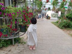 -北戴河集发农业梦想王国