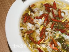 -新太二·鲜料川菜(万泰汇店)